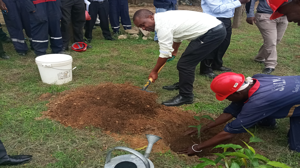 World Environmental Day